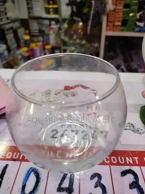 500ml Fish Bowl, Betta Fish Bowl