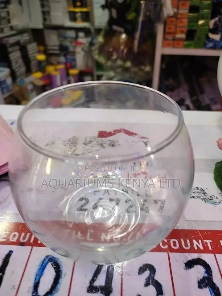 500ml Fish Bowl, Betta Fish Bowl