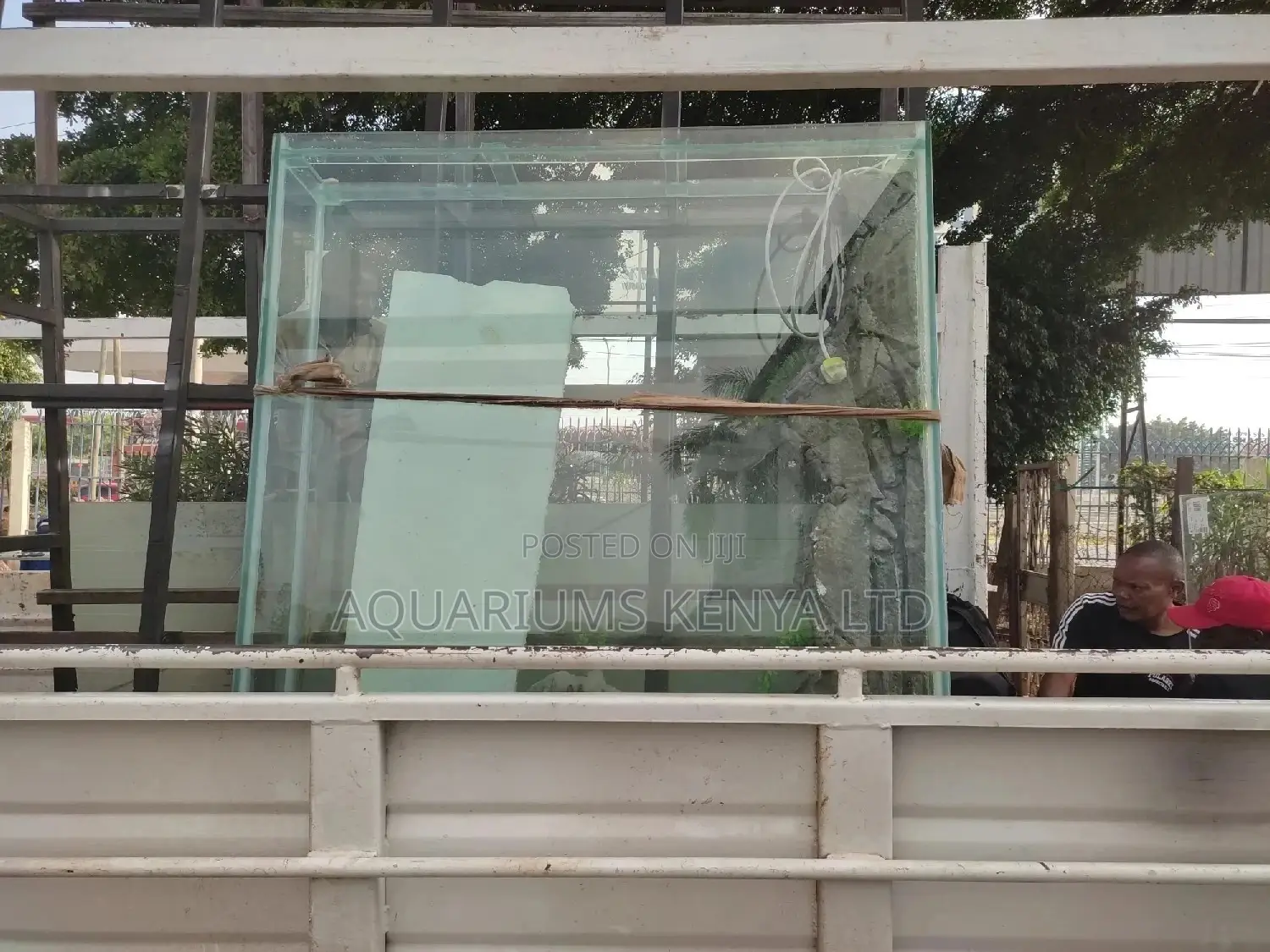 Professional Aquarium Transportation
