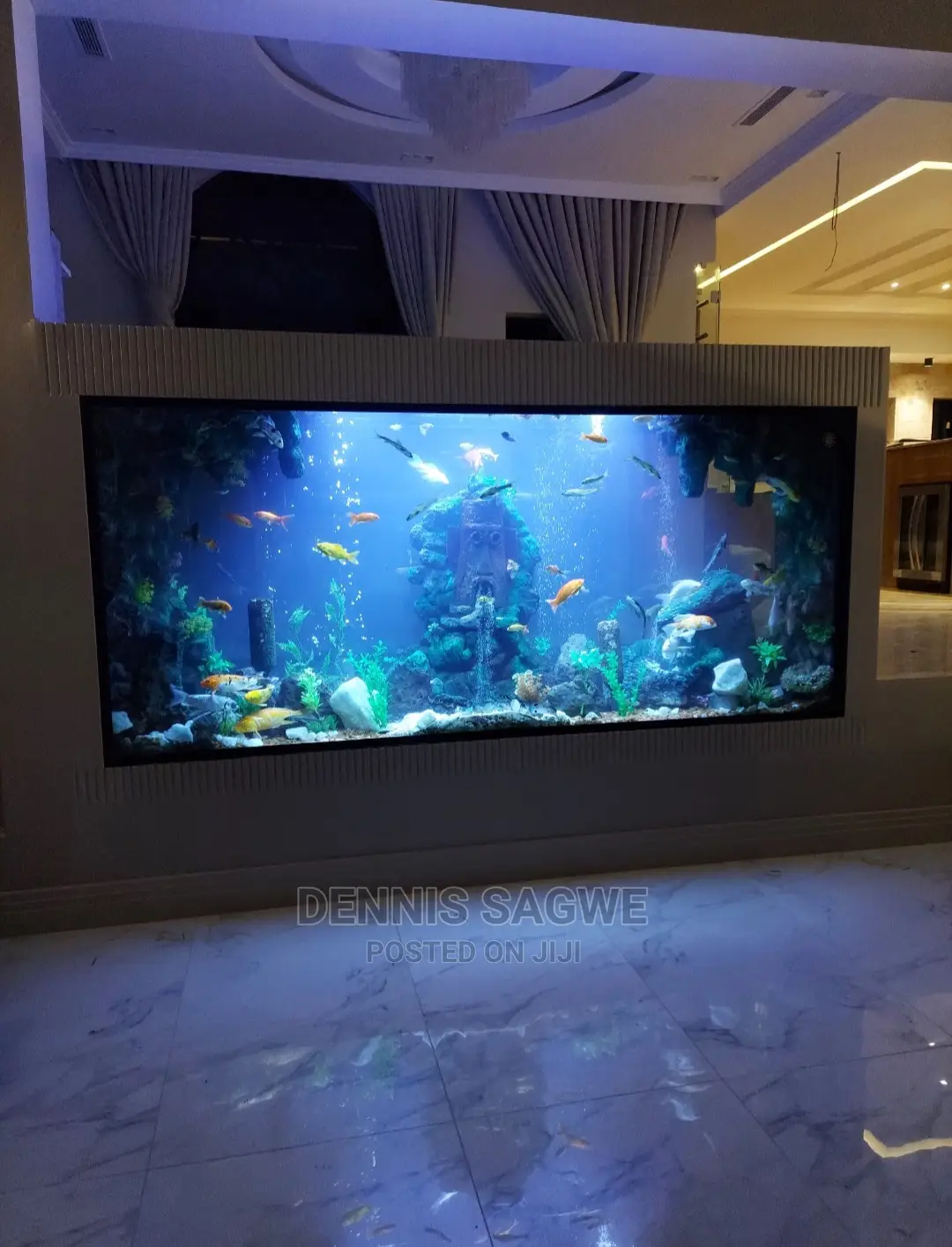 Aquadore Large Aquariums