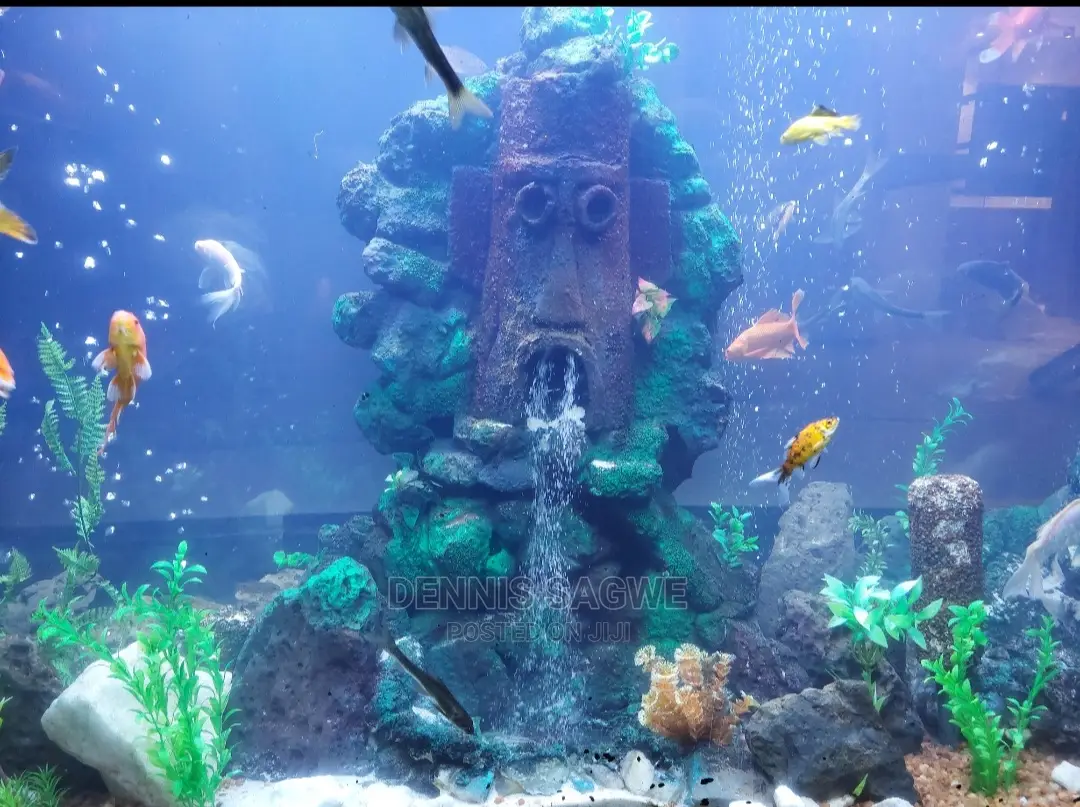 Aquadore Large Aquariums