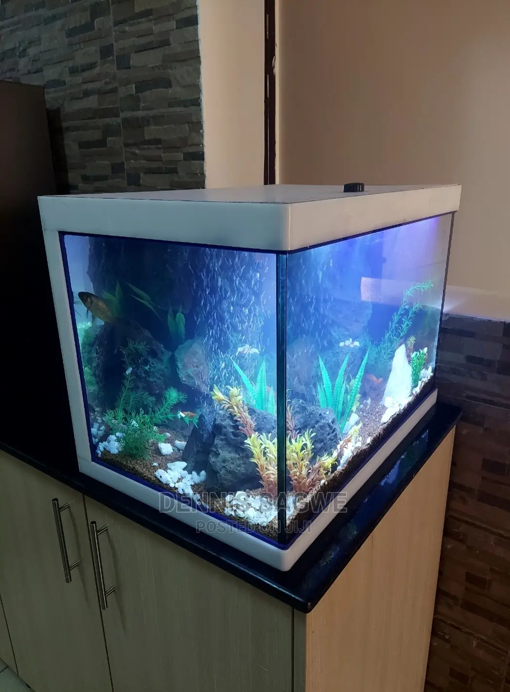 Aquadore Large Aquariums