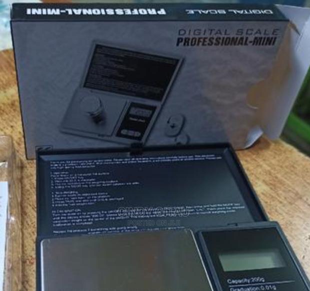 Professional Pocket Scale