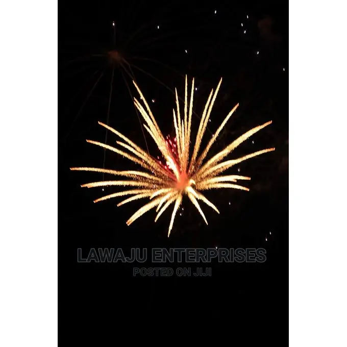 Champ 9 Shots Party Craft Display Fireworks
