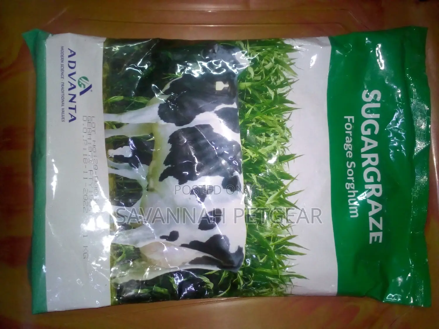 Sugargraze Forage Sorghum Seeds 2kg