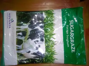 Sugargraze Forage Sorghum Seeds 2kg