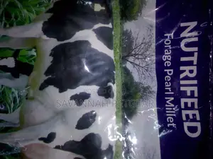 Nutrifeed Forage Pearl Millet Seeds 500gm