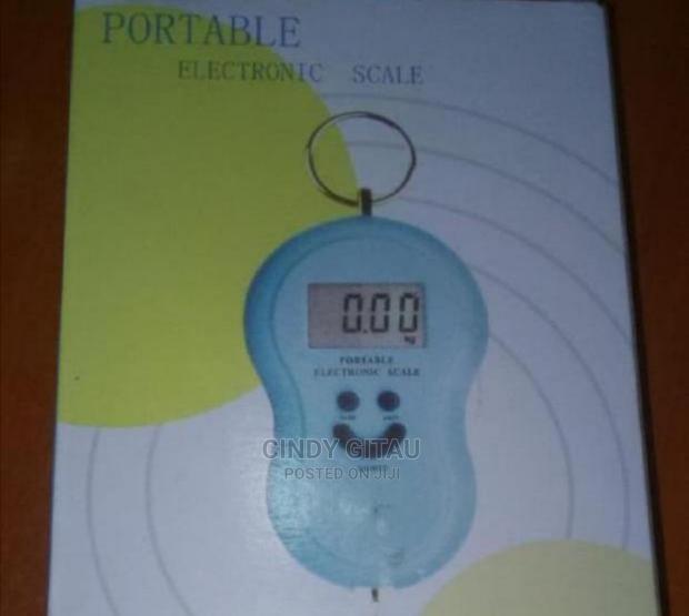 Portable 50kgs Scale