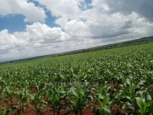 Agricultural Farm Up for Sale.