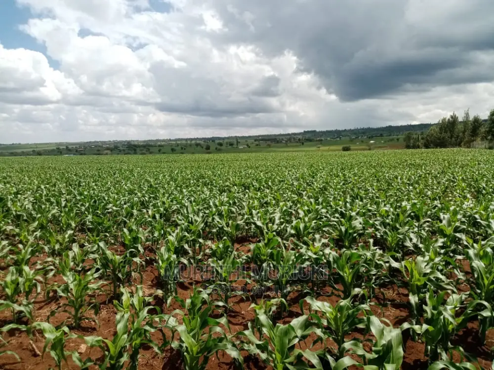 Agricultural Farm Up for Sale.