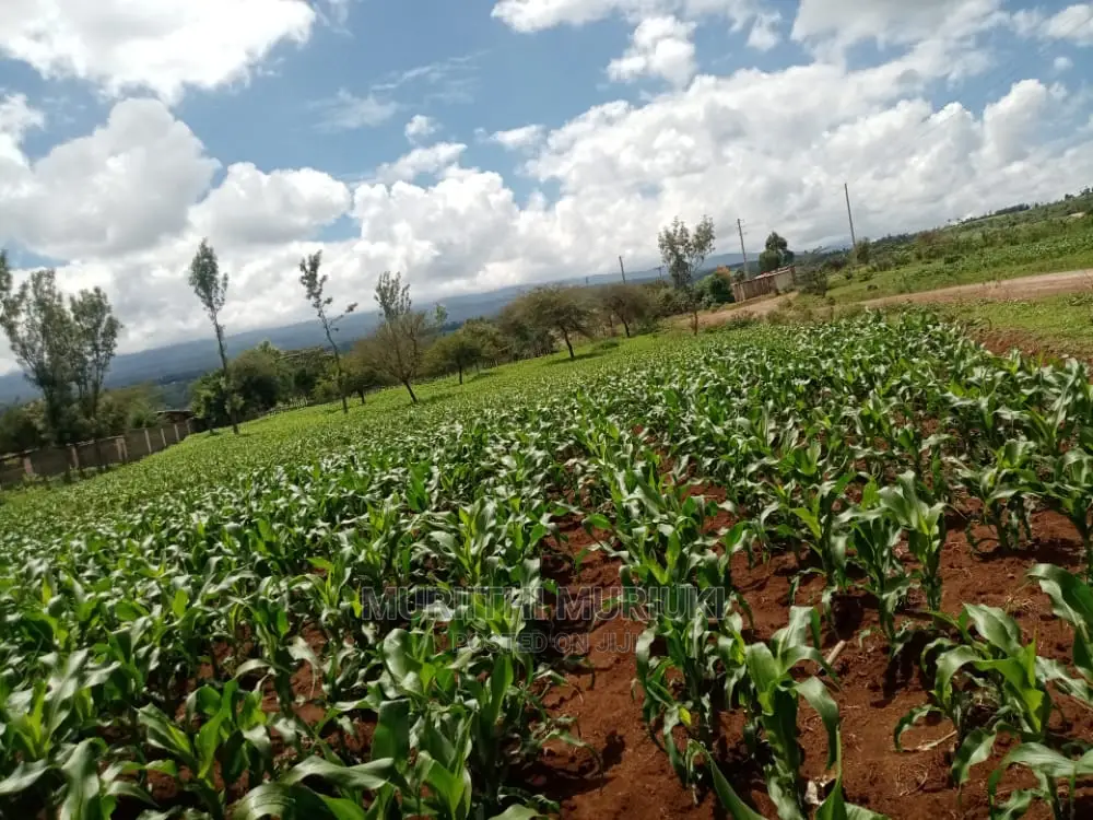 Agricultural Farm Up for Sale.