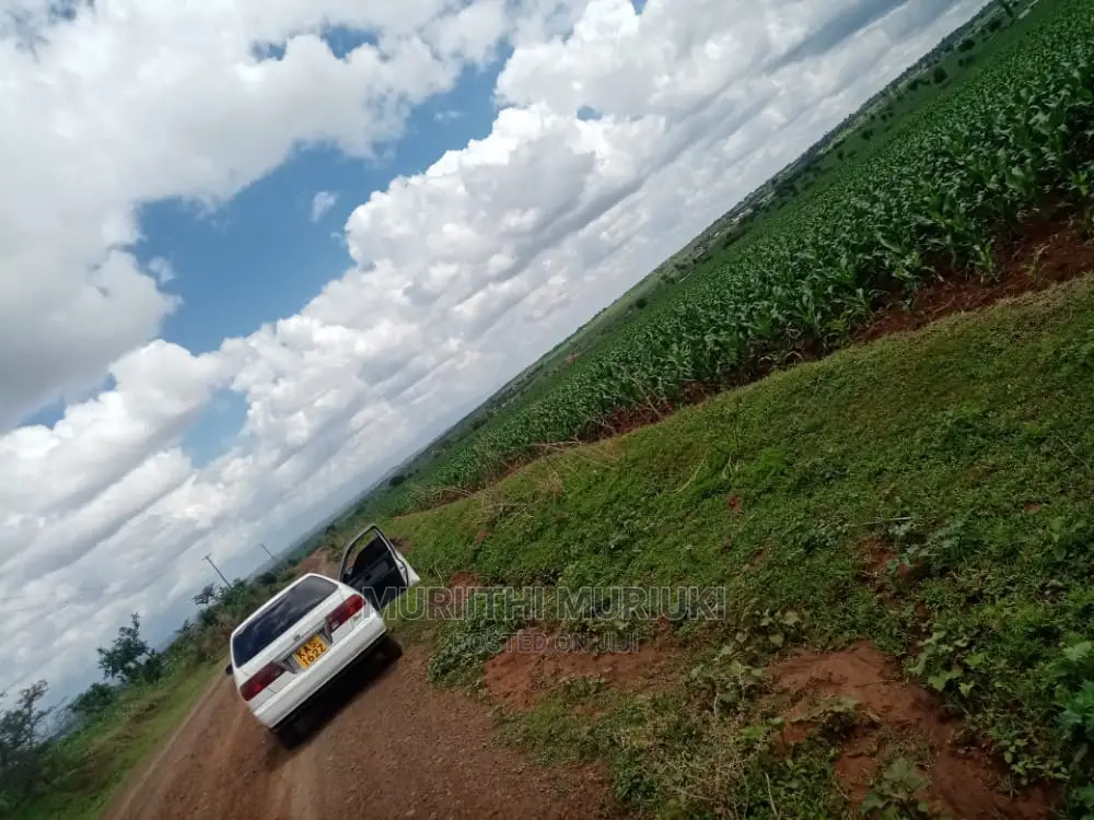 Agricultural Farm Up for Sale.