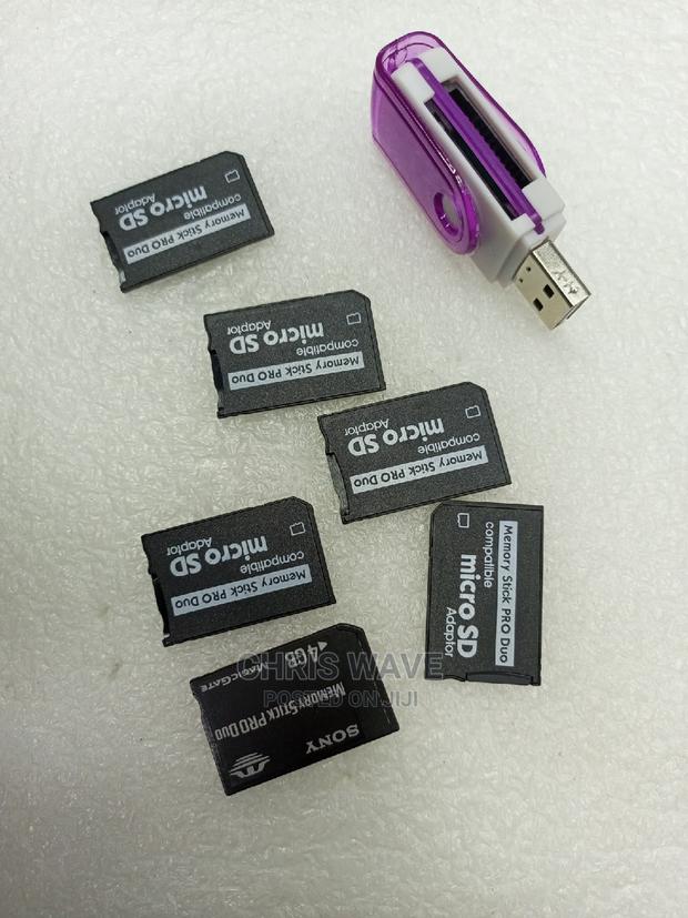 Sony Pro Duo Card