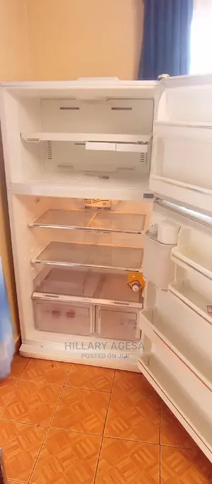 Fridge Repair Services