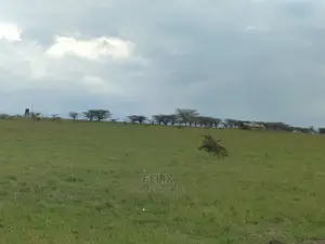 Chaka/Nanyuki Highway 10 Acres