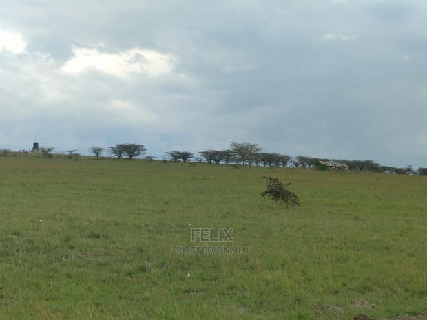 Chaka/Nanyuki Highway 10 Acres - thumbnail 4