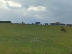 Chaka/Nanyuki Highway 10 Acres - thumbnail 2