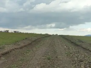 Chaka/Nanyuki Highway 10 Acres