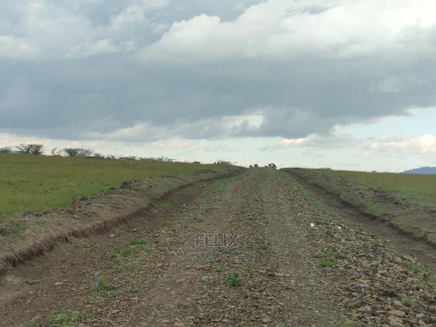 Chaka/Nanyuki Highway 10 Acres - thumbnail 6