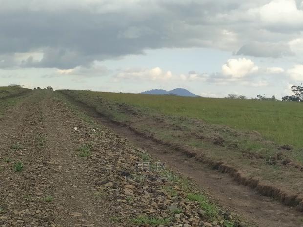 Chaka/Nanyuki Highway 10 Acres - thumbnail 7
