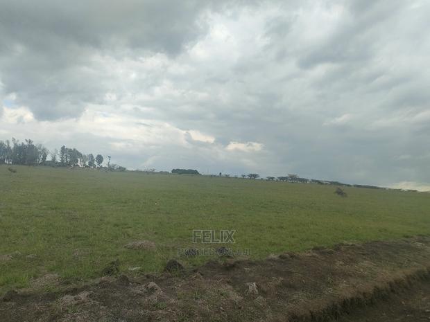 Chaka/Nanyuki Highway 10 Acres - thumbnail 11