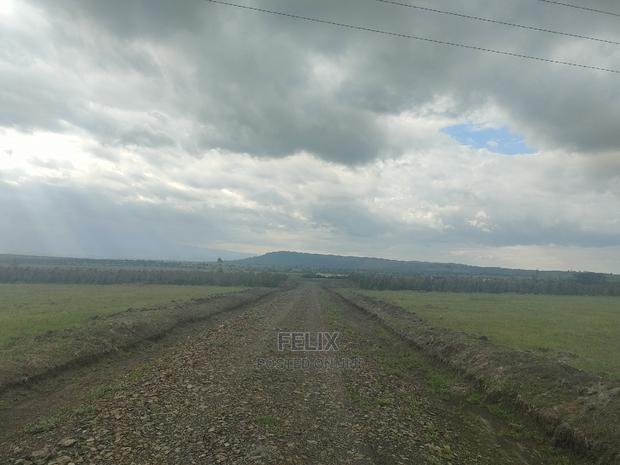 Chaka/Nanyuki Highway 10 Acres - thumbnail 13