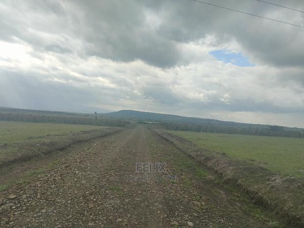 Chaka/Nanyuki Highway 10 Acres - thumbnail 15