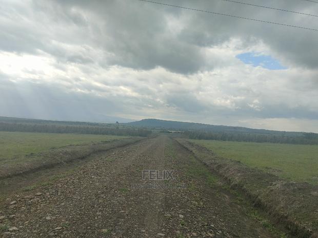 Chaka/Nanyuki Highway 10 Acres - thumbnail 17
