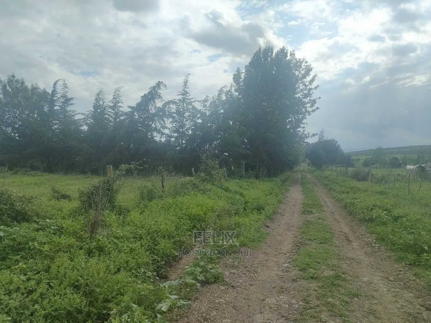 Chaka/Kwa Agriculture 1 Acre