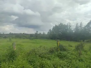 Chaka/Kwa Agriculture 1 Acre