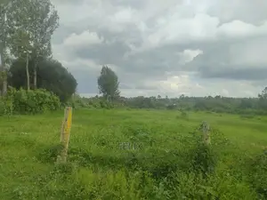 Chaka/Kwa Agriculture 1 Acre