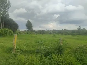 Chaka/Kwa Agriculture 1 Acre