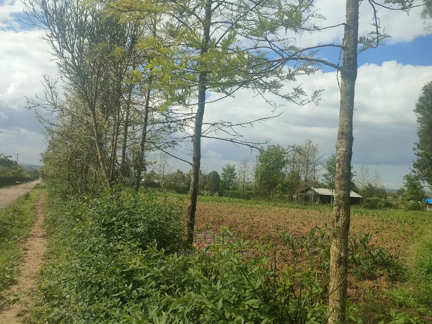 2 Acres Chaka/Ndiriti
