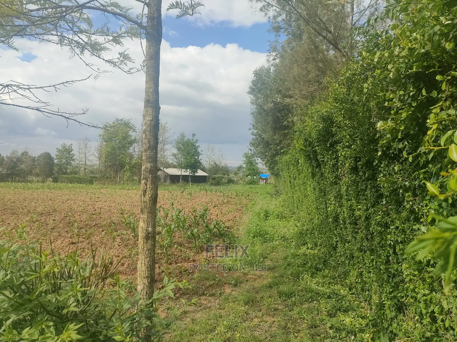 2 Acres Chaka/Ndiriti