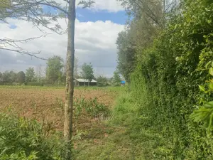 2 Acres Chaka/Ndiriti