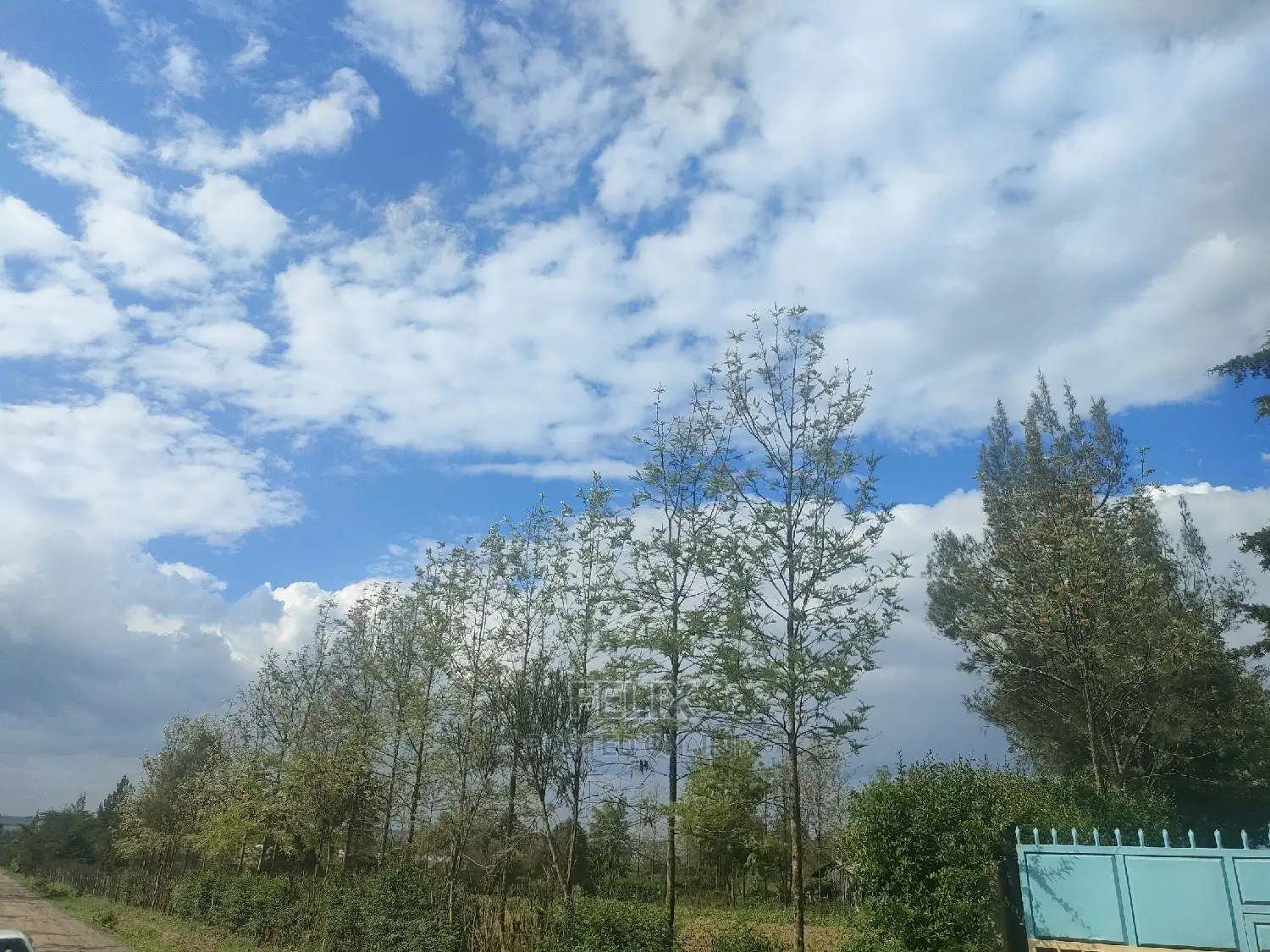 2 Acres Chaka/Ndiriti