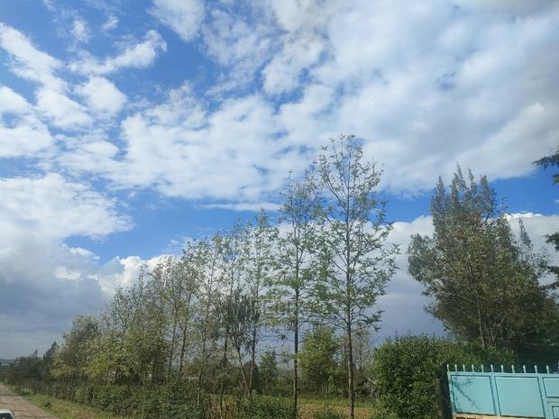 2 Acres Chaka/Ndiriti - thumbnail 6