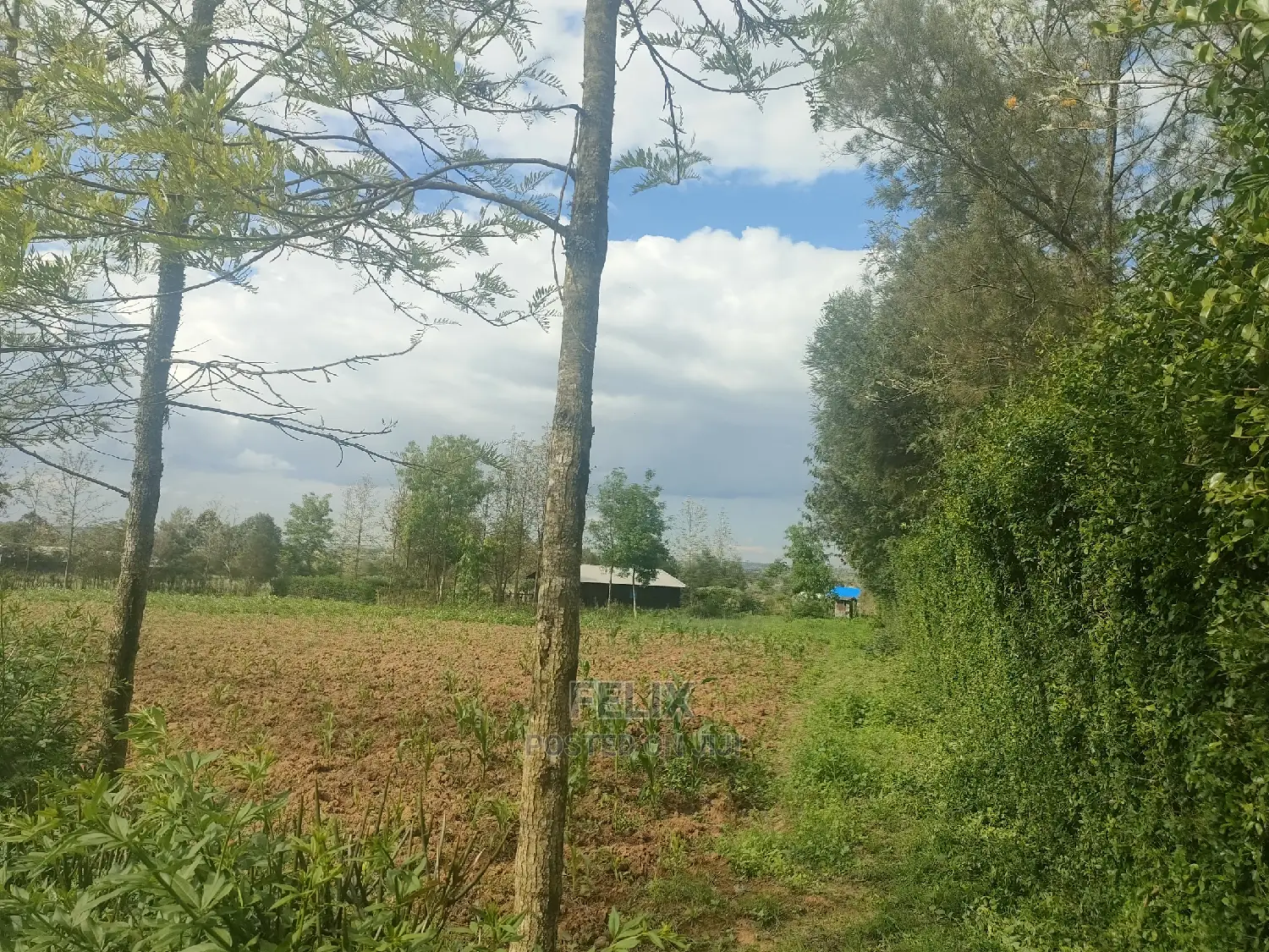 2 Acres Chaka/Ndiriti