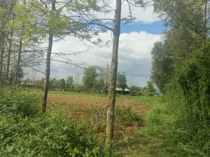 2 Acres Chaka/Ndiriti