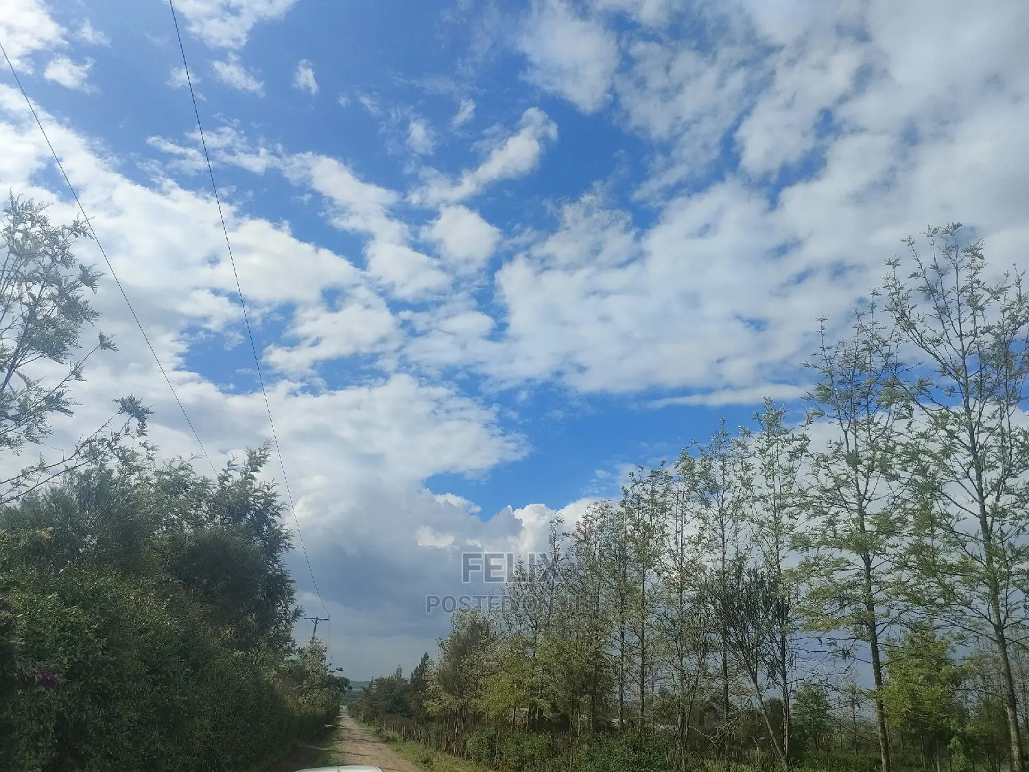 2 Acres Chaka/Ndiriti