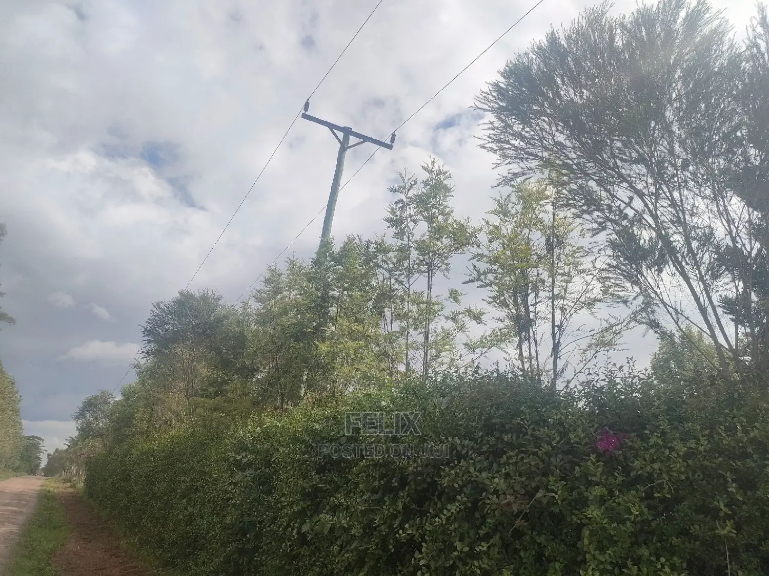 2 Acres Chaka/Ndiriti