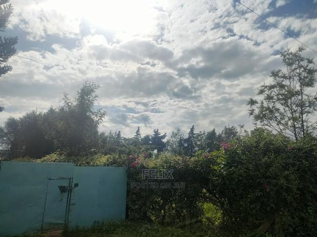 2 Acres Chaka/Ndiriti - thumbnail 12