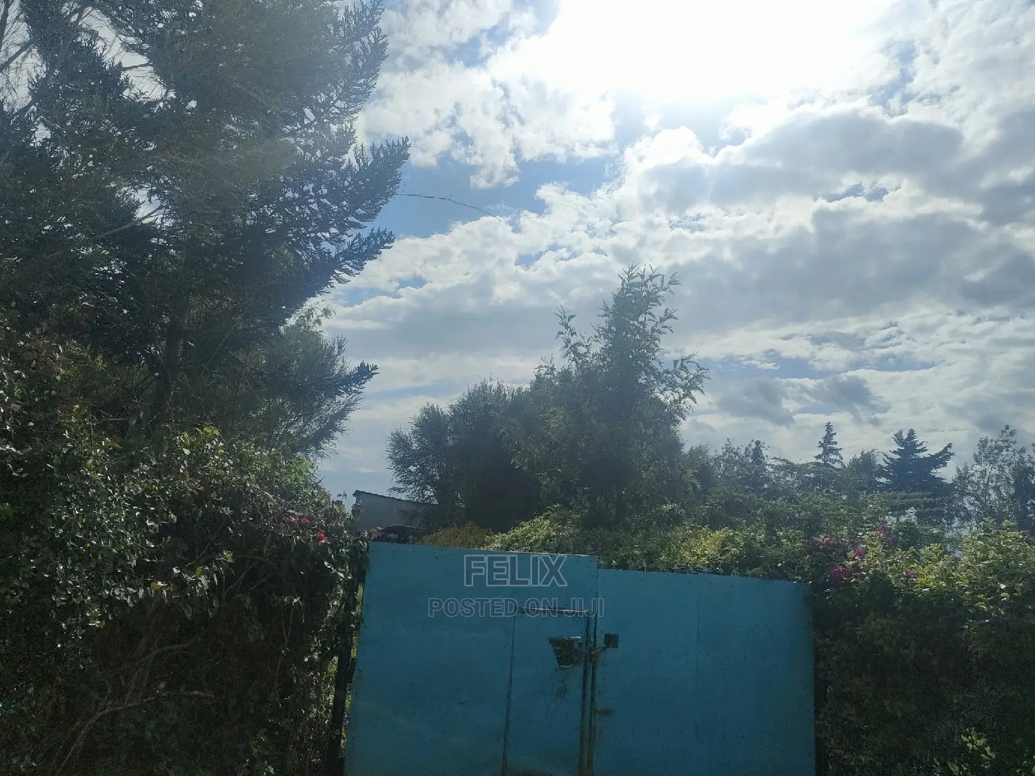 2 Acres Chaka/Ndiriti