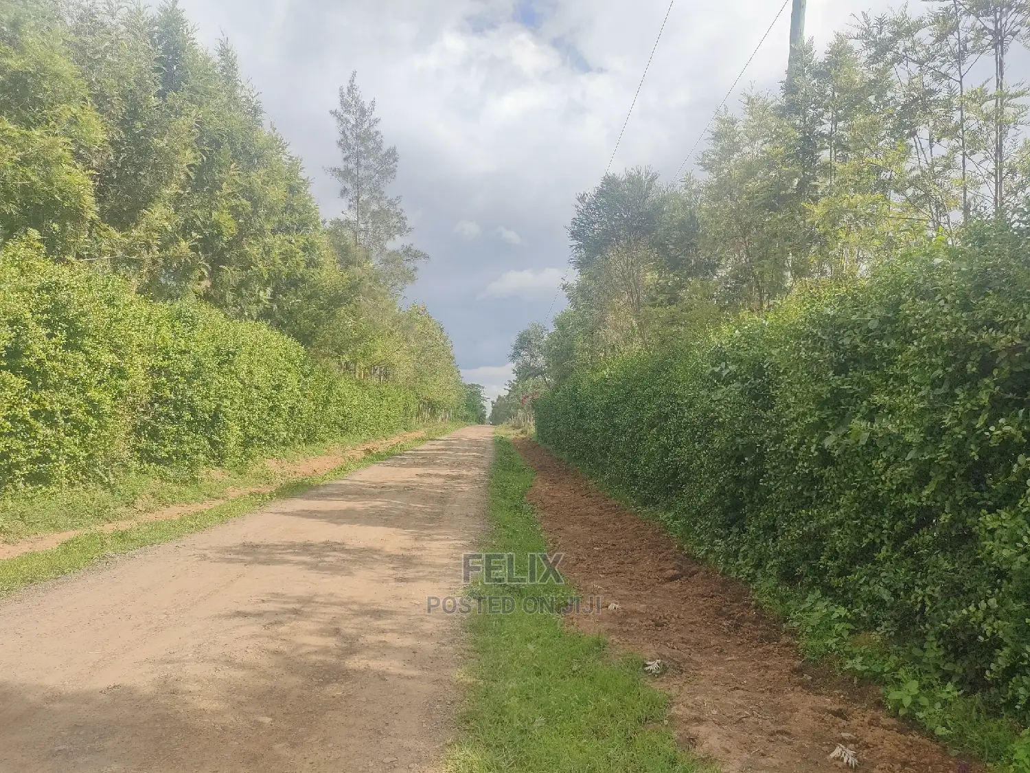 2 Acres Chaka/Ndiriti