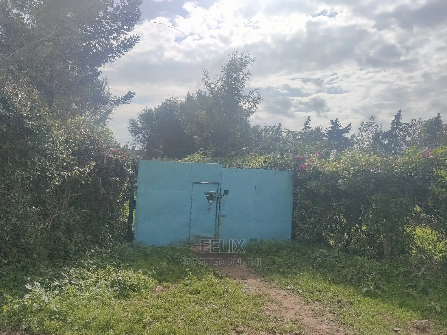 2 Acres Chaka/Ndiriti