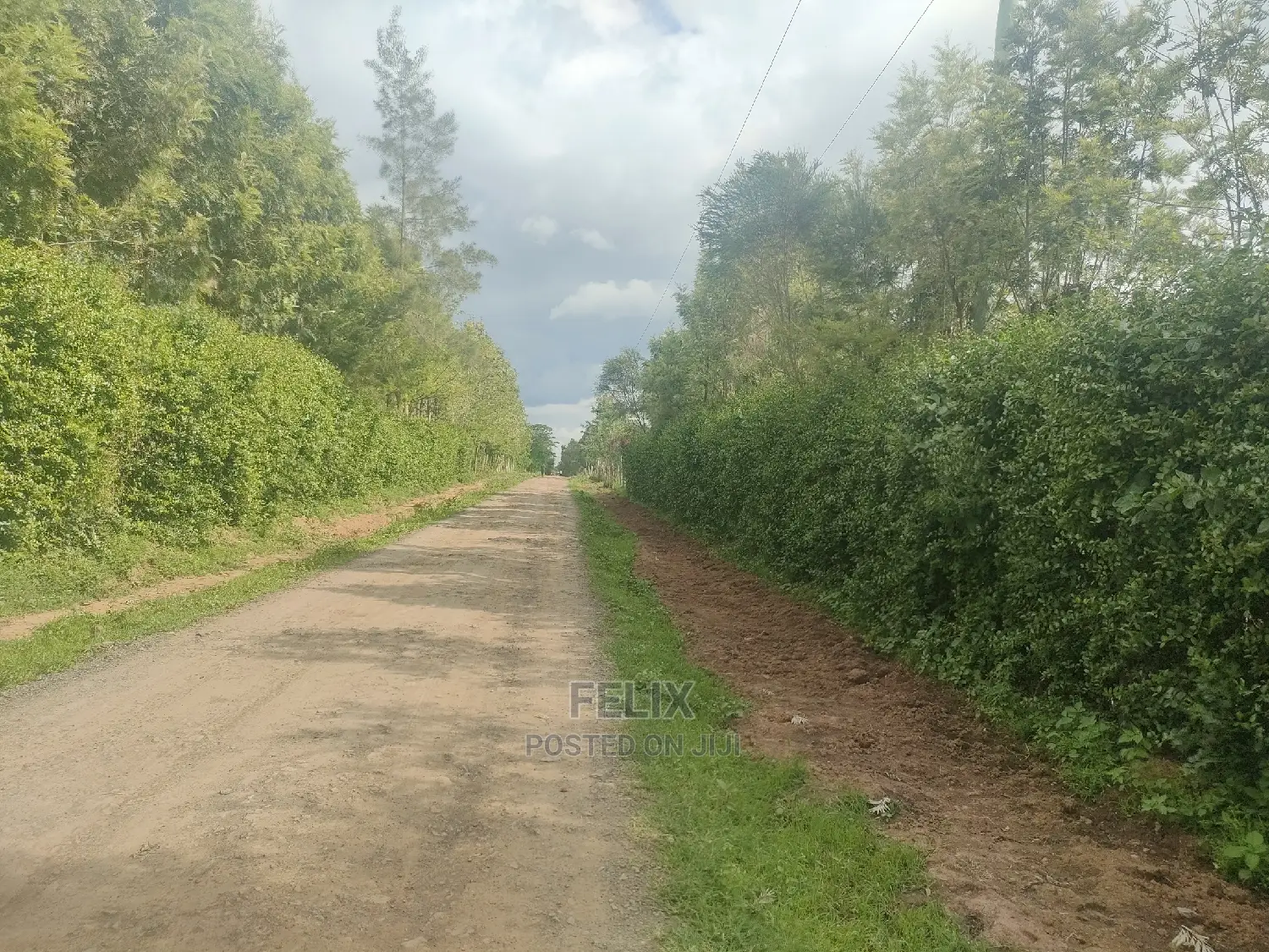 2 Acres Chaka/Ndiriti
