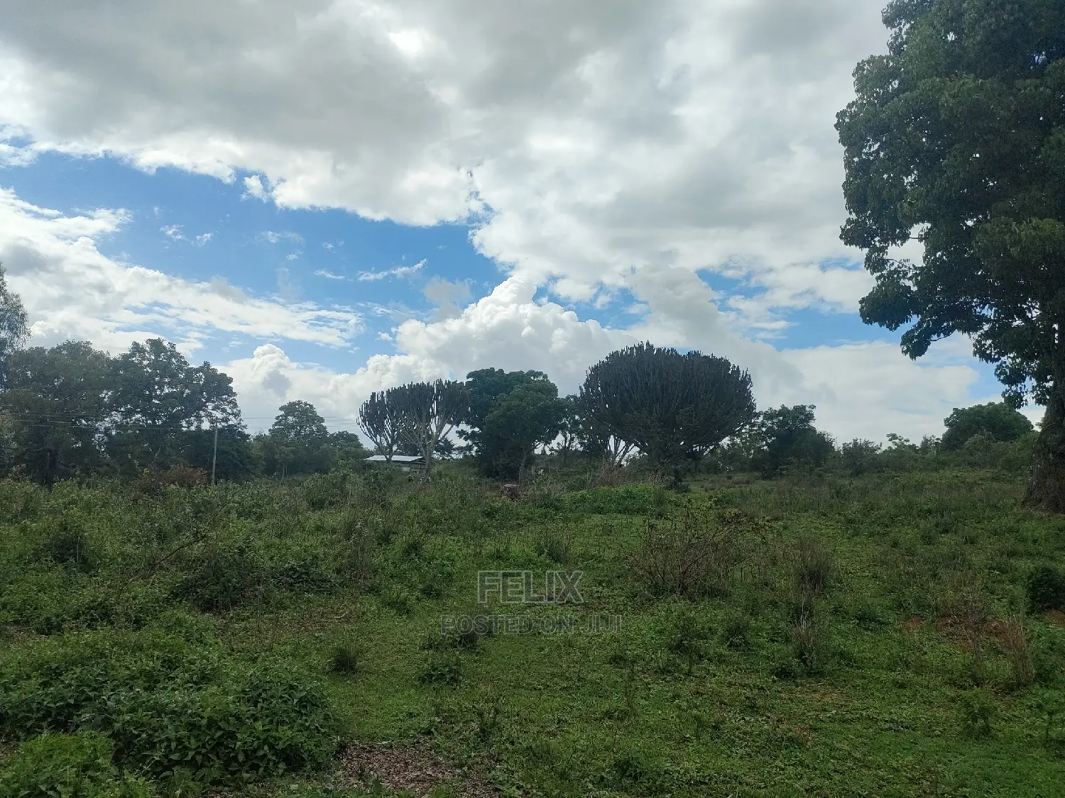 4 Acres Chaka/Kalicheni