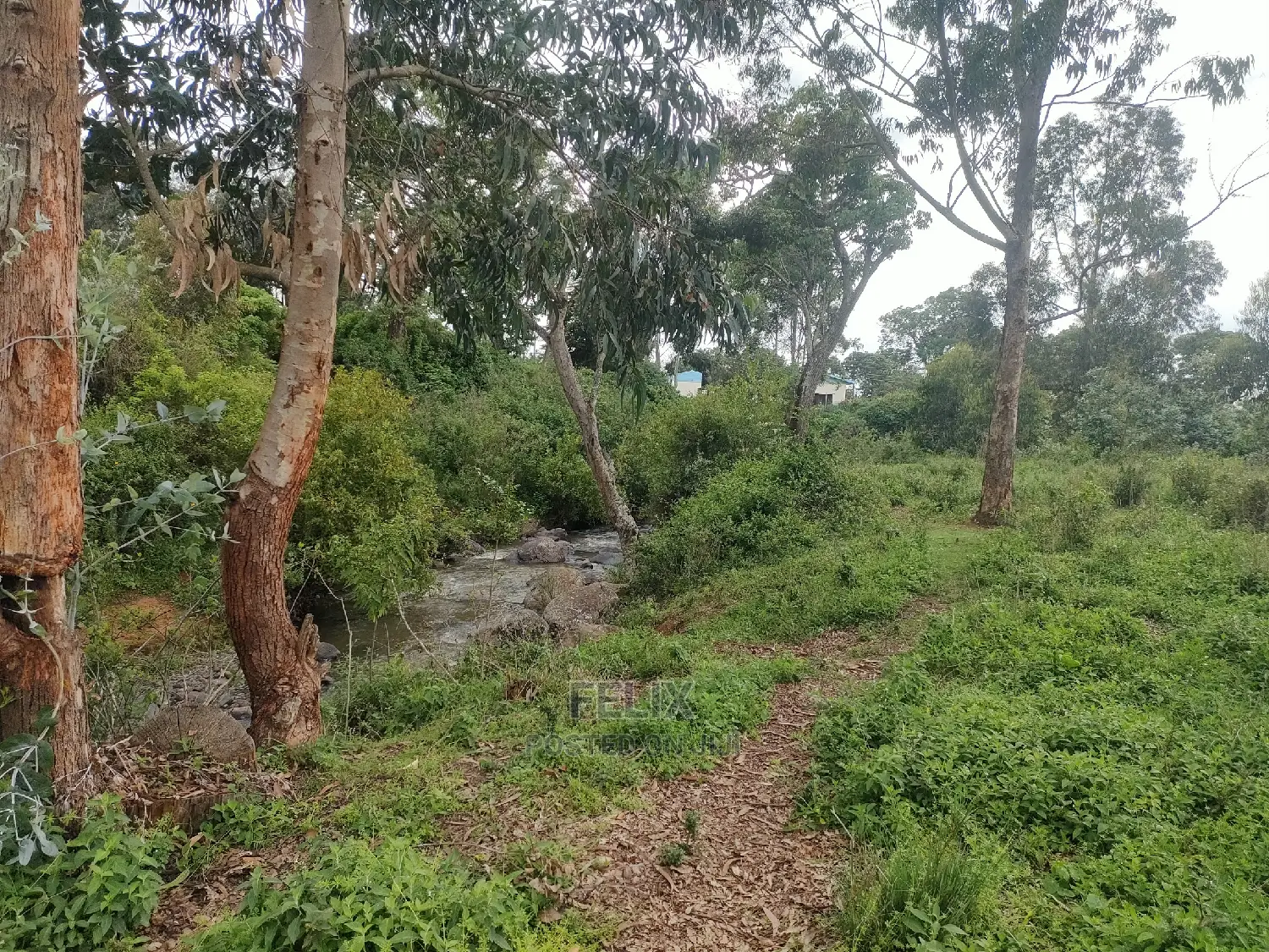 4 Acres Chaka/Kalicheni