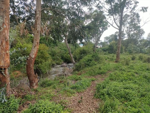 4 Acres Chaka/Kalicheni - thumbnail 2