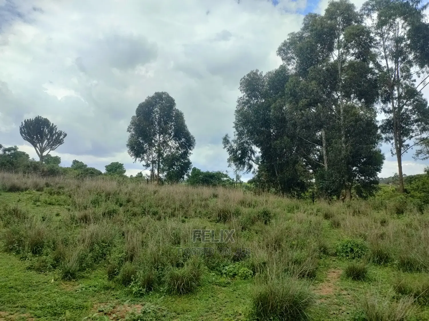 4 Acres Chaka/Kalicheni
